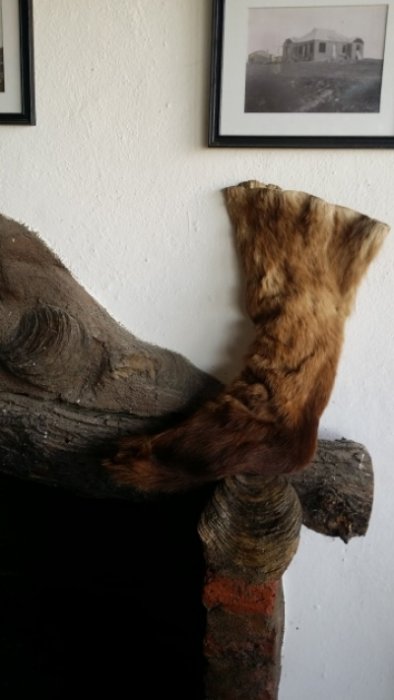 The origin of Patagonia