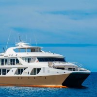 Elite | Galapagos Cruise Ship