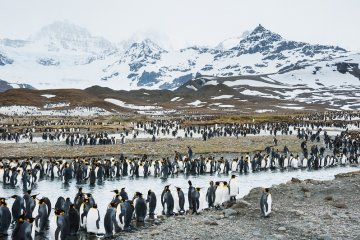Falkland Islands, South Georgia and Antarctica