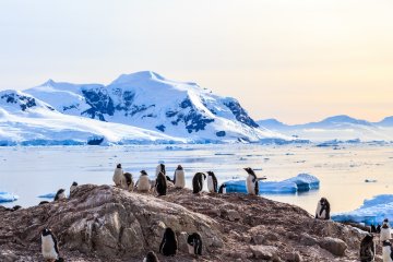 Classic Antarctica