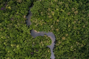 Eco Park Amazon Lodge - Brazil Amazon