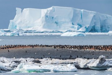 Epic Antarctica: Crossing the 7th Continent