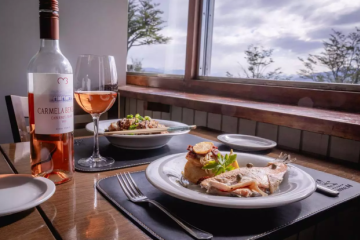 Explore Tierra del Fuego