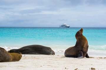 Galapagos: Grand Majestic | 4 days