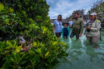 Galapagos: La Pinta | 5 days