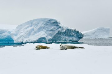 Journey to Austral Lands and Valdes Peninsula
