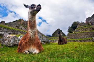 Peru Highlights