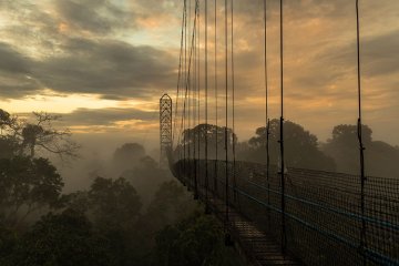 Sacha Lodge - Amazon Jungle Ecuador