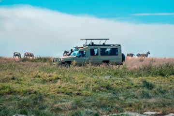Serengeti Fly-in Safari