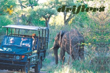 South Africa Eco Explorer: Small Group