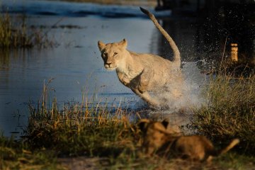 The Great North Road: Small Group