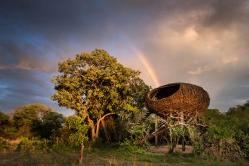 Unique Stay: Chisa Busanga Camp