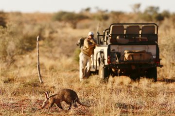 Unique Stay: Tswalu Private Game Reserve
