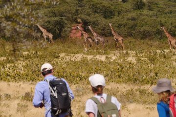 Unique Stay: Wayo Walking Camp