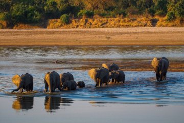 Jewels of Zambia: South Luangwa & Victoria Falls 