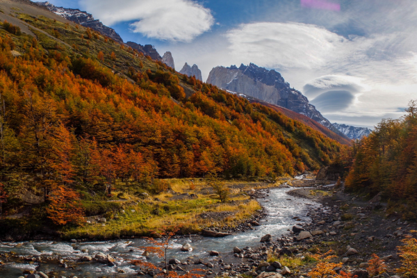 French Valley in Torres del Paine, drenched in the colours of Autumn