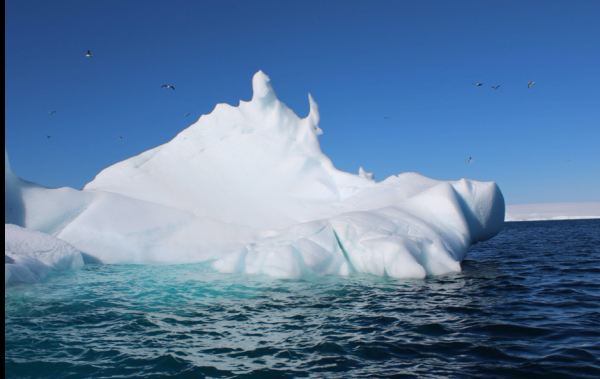 Iceberg in the Antarctica