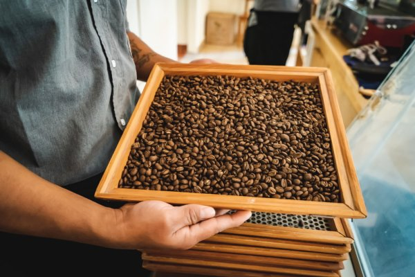 Mexico City coffee in San Cristocal de las Casas