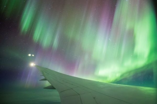 Aurora March 2021 c Brad Phipps SM