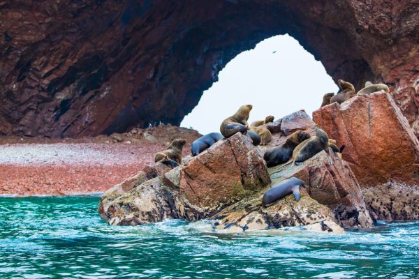 Ballestas Islands in Paracas Peru