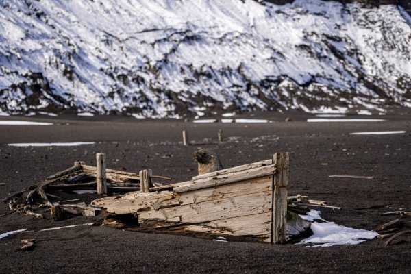 Deception Island in Antarctica. Seal destroying the fishing boat