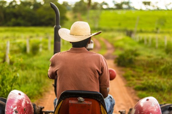 Farmer on his tractor 
