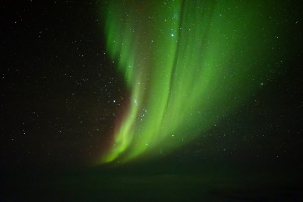 Right side Dr Stephen Voss 4 1