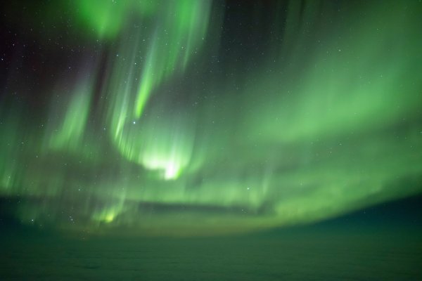 Right side Dr Stephen Voss 9 1