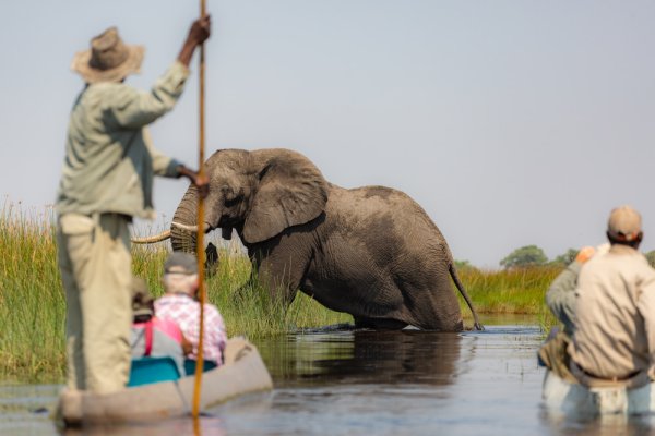 Travel to Botswana and ejoy a mokoro ride at Okavango Delta