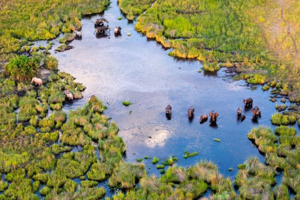 What to know before you go aerial view of Okavango Delta