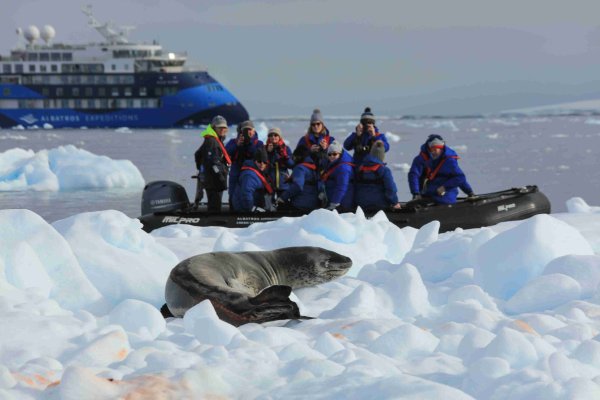 Cost of Antarctica Cruise, guest spotted a leopard seal