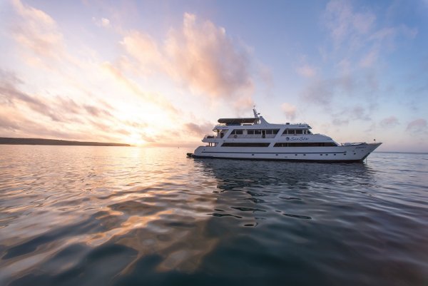 Sea Star cruise ship in the sunset