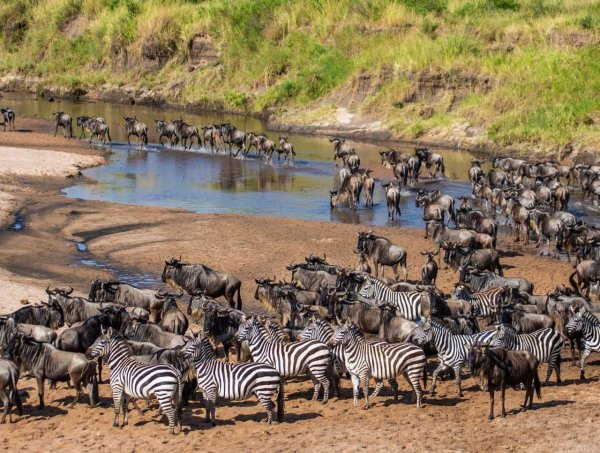 safari and beach combos, wildlife spotting in East Africa