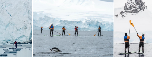 SUP in Antarctica