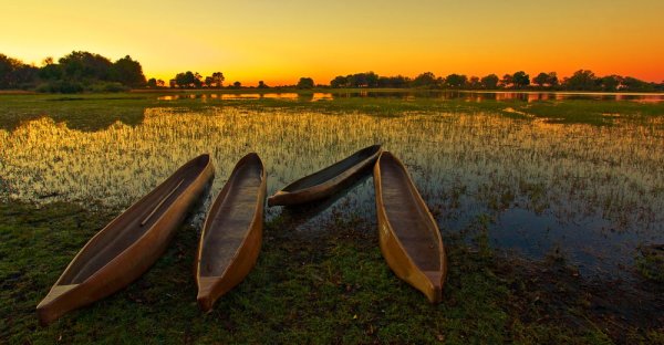 Visit Okavango Delta and experince mokoro ride