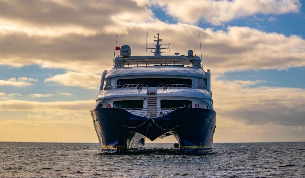 Endemic cruise ship in the sunset 